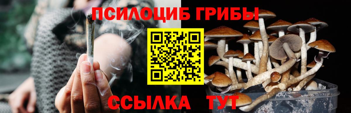 Чебаркуль  наркота  Псилоцибиновые грибы Cubensis  Вход с VPN  Псилоцибиновые грибы мухоморы 